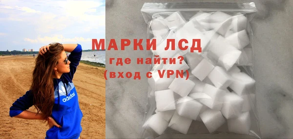 ГАЛЛЮЦИНОГЕННЫЕ ГРИБЫ Белая Холуница