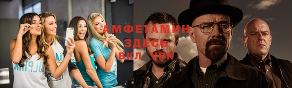 стаф Дедовск