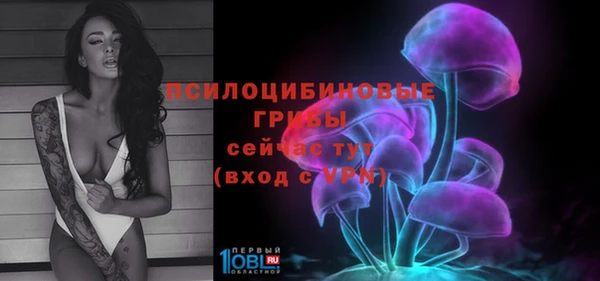 гидропоника Бежецк