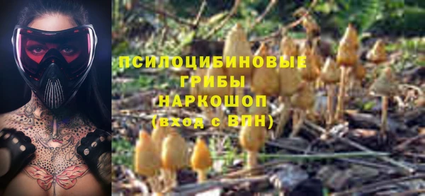 стаф Дедовск