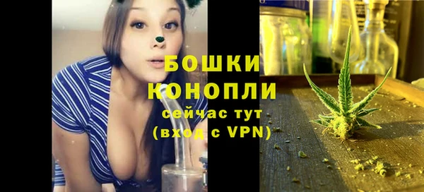 ГАЛЛЮЦИНОГЕННЫЕ ГРИБЫ Белая Холуница