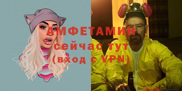 стаф Дедовск