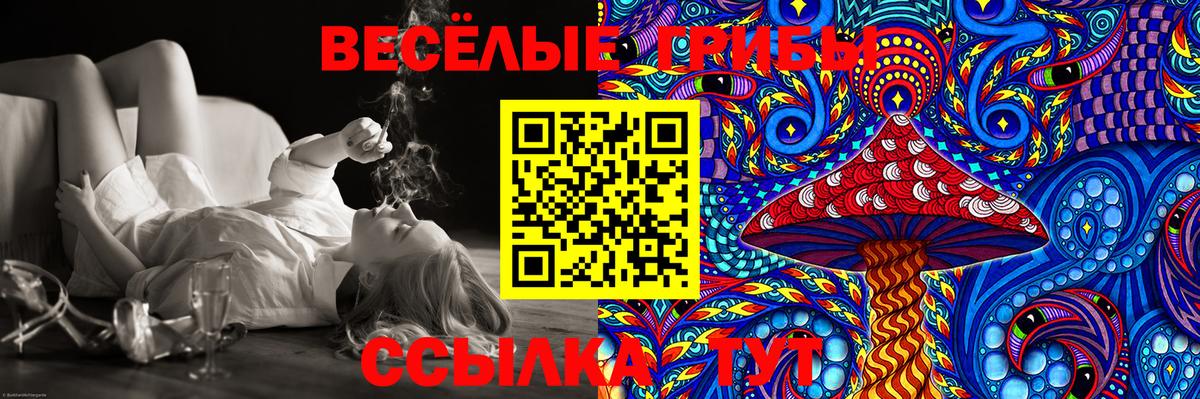 Псилоцибиновые грибы MAGIC MUSHROOMS Волоколамск